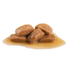 Royal Canin Maxi Adult En Salsa Para Perros -Mascota Suministros Ventas 82975 royalcanin maxi adult 2