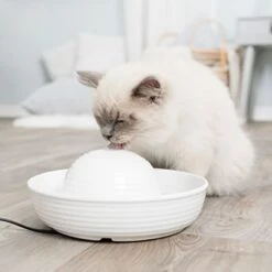 Bebedero Fuente Trixie Vital Flow De Cerámica -Mascota Suministros Ventas 83797 trixie trinkbrunnen keramik vital flow mini hs 02 9