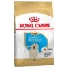 Royal Canin Golden Retriever Puppy / Junior