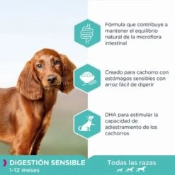 Eukanuba Daily Care Puppy Sensitive Digestion Con Pollo Y Pavo 7 Eukanuba Daily Care Puppy Sensitive Digestion Con Pollo Y Pavo -Mascota Suministros Ventas 8710255185088 2 4