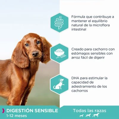 Eukanuba Daily Care Puppy Sensitive Digestion Con Pollo Y Pavo 3 Eukanuba Daily Care Puppy Sensitive Digestion Con Pollo Y Pavo - Imagen 3