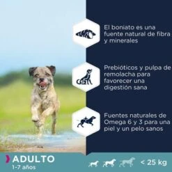 Eukanuba Grain Free Adult Razas Pequeñas Y Medianas Con Pollo 7 Eukanuba Grain Free Adult Razas Pequeñas Y Medianas Con Pollo -Mascota Suministros Ventas 8710255187952 2 6