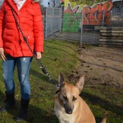 Julius K9 Correa Ajustable Julius-K9 IDC® Cordino Para Perros -Mascota Suministros Ventas 89698 juliusk9 idcadjustableropeleash hs 11 2