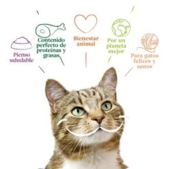 Yarrah Bio 48 X 100 G En Tarrinas Para Gatos - Pack Ahorro -Mascota Suministros Ventas 9125 cat alu yarrah pate beef 100g es 8714265976599 2 1