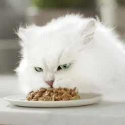 Gourmet Perle En Sobres 96 X 85 G 36 Gourmet Perle En Sobres 96 X 85 G -Mascota Suministros Ventas 93300 gourmet perle megpack hs 03 6