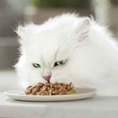 Gourmet Perle En Sobres 96 X 85 G 17 Gourmet Perle En Sobres 96 X 85 G - Imagen 17