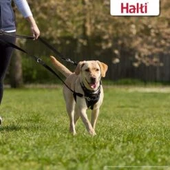Correa Halti Para El Adiestramiento De Perros -Mascota Suministros Ventas 94508 halti trainingsleine schwarz hs 04 1