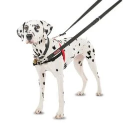 Arnés Antitirones Front Control HALTI Para Perros 15 Arnés Antitirones Front Control HALTI Para Perros -Mascota Suministros Ventas 94510 coa halti front controll harness hs 01 3