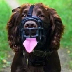 Bozal Baskerville Ultra 2.0 Con Cierres De Plástico 13 Bozal Baskerville Ultra 2.0 Con Cierres De Plástico -Mascota Suministros Ventas 94512 maulkorb baskerville ultra hs15 6