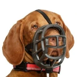 Bozal Baskerville Ultra 2.0 Con Cierres De Plástico 14 Bozal Baskerville Ultra 2.0 Con Cierres De Plástico -Mascota Suministros Ventas 94513 maulkorb baskerville ultra hs7 2