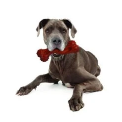 Hueso Nylabone Dura Chew Monster Aroma A Bisonte 9 Hueso Nylabone Dura Chew Monster Aroma A Bisonte -Mascota Suministros Ventas 94898 nylabone durra chew monster hs 05 1