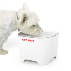 Bebedero Fuente Cat Mate Concha De Pet Mate 11 Bebedero Fuente Cat Mate Concha De Pet Mate -Mascota Suministros Ventas 95720 cat mate shell pet fountain hs 01 7