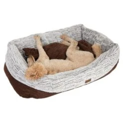 Cama Hyggelig Para Perros -Mascota Suministros Ventas 97649 koenigspudel fg 4716 1