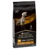 Purina NF Renal Function Veterinary Diets Pienso Para Perros