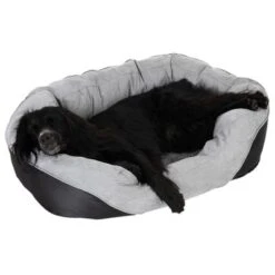 Cama Ortopédica Lazy Para Perros 28 Cama Ortopédica Lazy Para Perros -Mascota Suministros Ventas 98296 aussiemix fg 4789 5