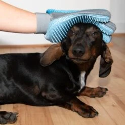 Guante De Doble Cara Para Pelaje De Mascotas 29 Guante De Doble Cara Para Pelaje De Mascotas -Mascota Suministros Ventas 98728 fellpflege handschuh fg 9972 3