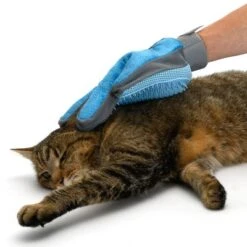 Guante De Doble Cara Para Pelaje De Mascotas 27 Guante De Doble Cara Para Pelaje De Mascotas -Mascota Suministros Ventas 98728 katze fg 5671 5