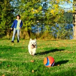Pelota Chuckit! Kick Fetch Para Perros -Mascota Suministros Ventas 99703 petmate chuckit kick fetch large hs 04 9