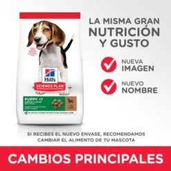 Hill's Science Plan Hill's Puppy <1 Medium Science Plan Con Cordero Y Arroz -Mascota Suministros Ventas atf11 604335 key changes 0