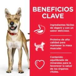 Hill's Science Plan Hill's Adult 1+ Perfomance Science Plan Con Pollo -Mascota Suministros Ventas atf8 604383 key benefits 2