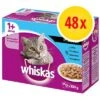 Megapack Whiskas 1+ Años 48 X 85 G En Bolsitas