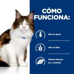 Hill's Prescription Diet W/d Con Pollo Sobres Para Gatos -Mascota Suministros Ventas bk24618m ongoing how it works es 1