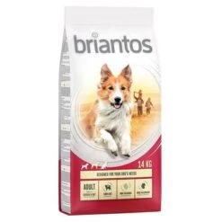 Briantos Pienso Para Perros - Pack Ahorro -Mascota Suministros Ventas briantos adult chickenrice 14kg 1000x1000 9