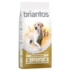 Briantos Pienso Para Perros - Pack Ahorro -Mascota Suministros Ventas briantos adult maxi chickenrice 14kg 1000x1000 2
