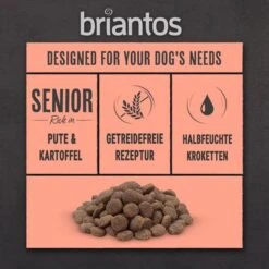 Briantos SIN CEREALES Pienso Para Perros - Pack Ahorro -Mascota Suministros Ventas briantos gf board senior pute 1000x1000 2