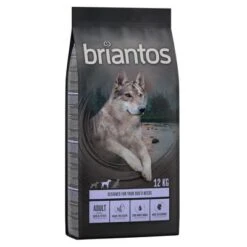 Briantos SIN CEREALES Pienso Para Perros - Pack Ahorro -Mascota Suministros Ventas briantos hund adult duck 12kg 1000x1000 8