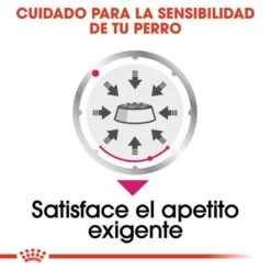 Royal Canin CCN Exigent Care Mousse Para Perros -Mascota Suministros Ventas ccn 6 0