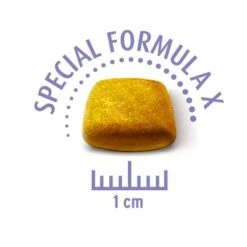 Pack Ahorro: Concept For Life Pienso Para Perros -Mascota Suministros Ventas cfl x large puppy krokette 2