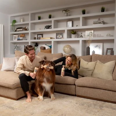 Pet Head Sensitive Soul Champú, Acondicionador Y Spray Para Perros 9 Pet Head Sensitive Soul Champú, Acondicionador Y Spray Para Perros - Imagen 9