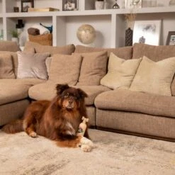 Pet Head Sensitive Soul Champú, Acondicionador Y Spray Para Perros 17 Pet Head Sensitive Soul Champú, Acondicionador Y Spray Para Perros -Mascota Suministros Ventas companyofanimals pethead sensitivesoul set3teilig hs 08 9