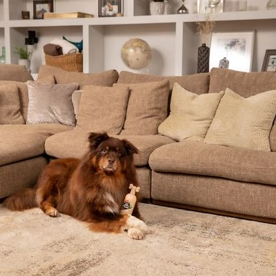 Pet Head Sensitive Soul Champú, Acondicionador Y Spray Para Perros 8 Pet Head Sensitive Soul Champú, Acondicionador Y Spray Para Perros - Imagen 8