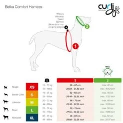 Arnés Curli Belka Comfort Negro Para Perros -Mascota Suministros Ventas curli belka comfort geschirr sizes 0