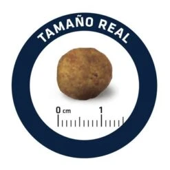 Advance Articular Care Reduced Calorie Veterinary Diets Para Perros -Mascota Suministros Ventas dog advance vet diets articular care reduced calorie 4