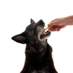 Trixie 100 Rollitos Masticables Para Perros 8 Trixie 100 Rollitos Masticables Para Perros -Mascota Suministros Ventas dsc2571 9