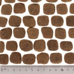 Wolf Of Wilderness The Taste Of Scandinavia 12 Wolf Of Wilderness The Taste Of Scandinavia -Mascota Suministros Ventas dsc2637 5