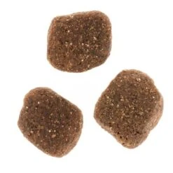 Wolf Of Wilderness The Taste Of The Mediterranean -Mascota Suministros Ventas dsc2639 2