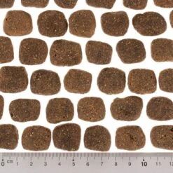 Wolf Of Wilderness The Taste Of The Mediterranean -Mascota Suministros Ventas dsc2642 0