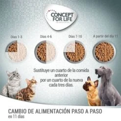 PROMO: Concept For Life Pienso Para Perros 12 + 1,5 Kg ¡gratis! -Mascota Suministros Ventas e cfl board feeding 1000x1000 1 1 6 1