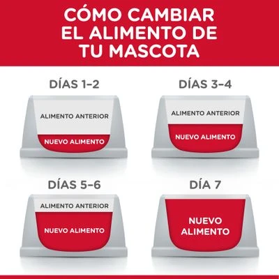 Hill's Science Plan Hill's Feline Mature Adult 7+ Para Gatos 7 Hill's Science Plan Hill's Feline Mature Adult 7+ Para Gatos - Imagen 7