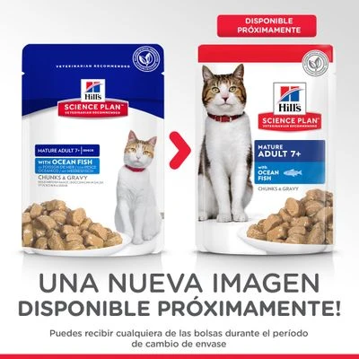 Hill's Science Plan Hill's Feline Mature Adult 7+ Para Gatos 8 Hill's Science Plan Hill's Feline Mature Adult 7+ Para Gatos - Imagen 8