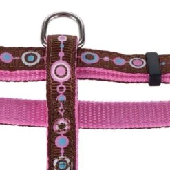 Set Hunter: Arnés + Correa Para Cachorros Y Gatos -Mascota Suministros Ventas geschirre 115 8