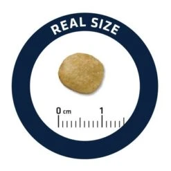 Advance Renal Veterinary Diets Para Perros 7 Advance Renal Veterinary Diets Para Perros -Mascota Suministros Ventas j 4 4