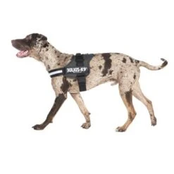 Julius K9 Arnés JULIUS-K9® Power Antracita Para Perros 13 Julius K9 Arnés JULIUS-K9® Power Antracita Para Perros -Mascota Suministros Ventas juliusk9 powergeschirr anthrazit2 4