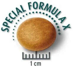 Pack Ahorro: Concept For Life Pienso Para Perros -Mascota Suministros Ventas largesenior krokette 8