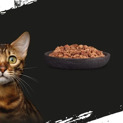 Crave 16 X 85 G En Bolsitas Para Gatos - Pack Mixto 3 Crave 16 X 85 G En Bolsitas Para Gatos - Pack Mixto - Imagen 3