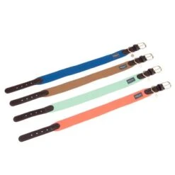 Collar Nomad Tales Bloom Caramelo Para Perros -Mascota Suministros Ventas nomad tales bloom halsbaender fg 1487 3